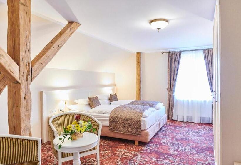 اتاق لوکس, Spa Hotel Centrum