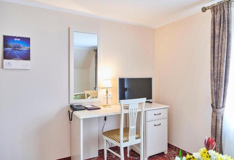 اتاق لوکس یک تخته, Spa Hotel Centrum