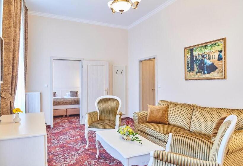 آپارتمان 1 خوابه با بالکن, Spa Hotel Centrum