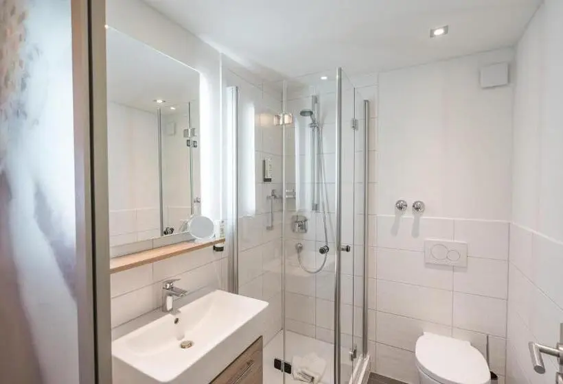 デラックスルーム, Wohlfühlhotel Frohsinn