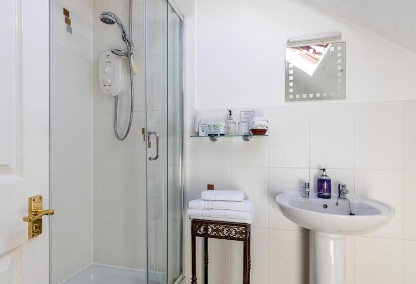 חדר סטנדרט יחיד, Wynnstay House