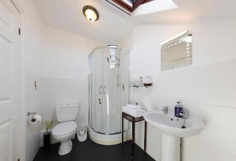 Номер Superior, Wynnstay House