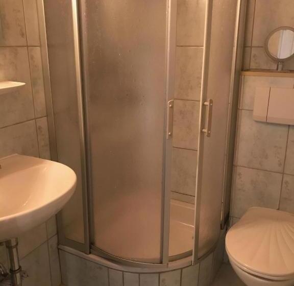 Номер Basic, Homerhof Hofmann Johann Junior