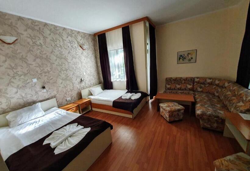 Номер Стандарт, Sigma