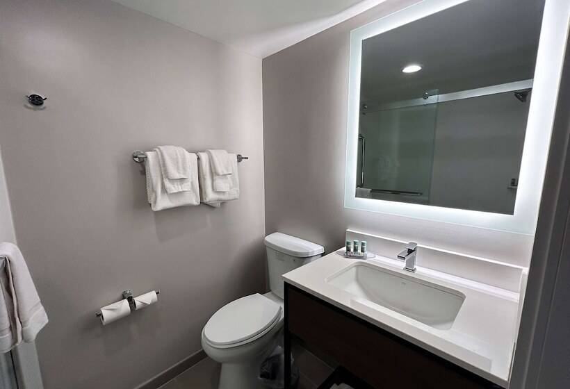 غرفه قياسيه سريرين مزدوجين, Best Western Laurel