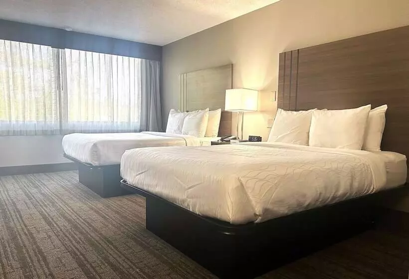 2ダブルベッドのスタンダードルーム, Best Western Laurel