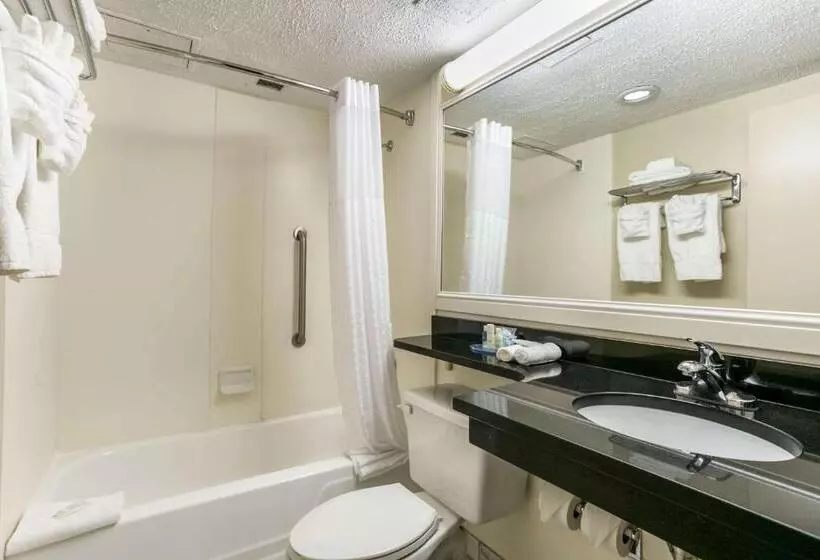 スタンダードルーム, Clarion Hotel Bwi Airport Arundel Mills