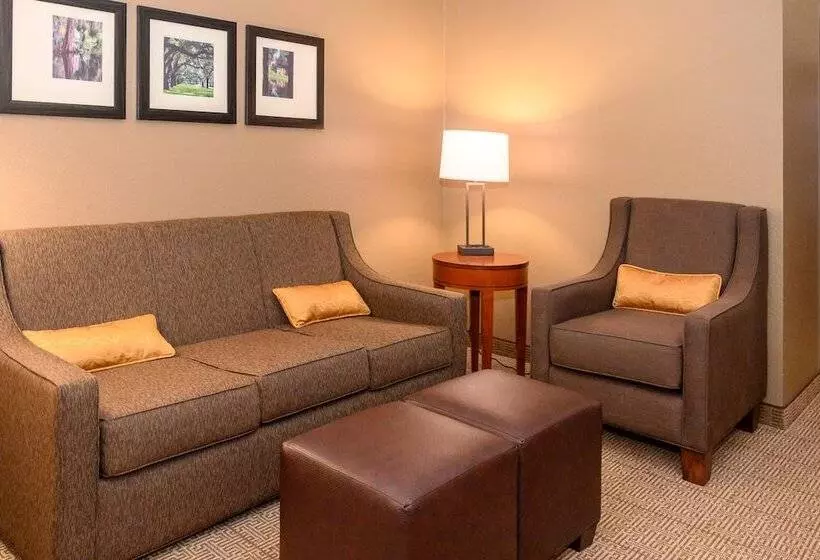 スイート, Comfort Inn & Suites Patriots Point