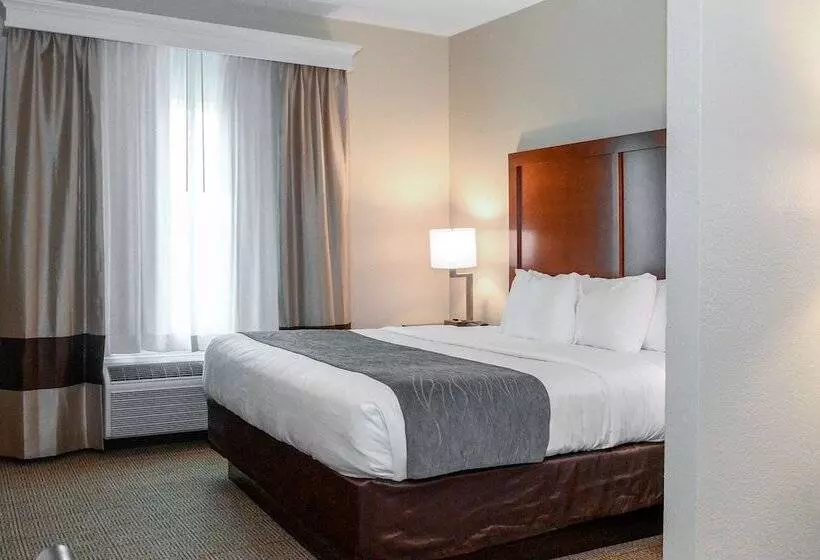 スイート, Comfort Inn & Suites Patriots Point