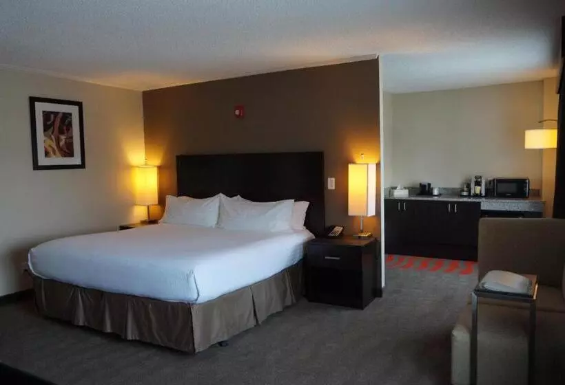 身障者適用キングサイズベッドルーム, Holiday Inn Portsmouth Downtown, An Ihg