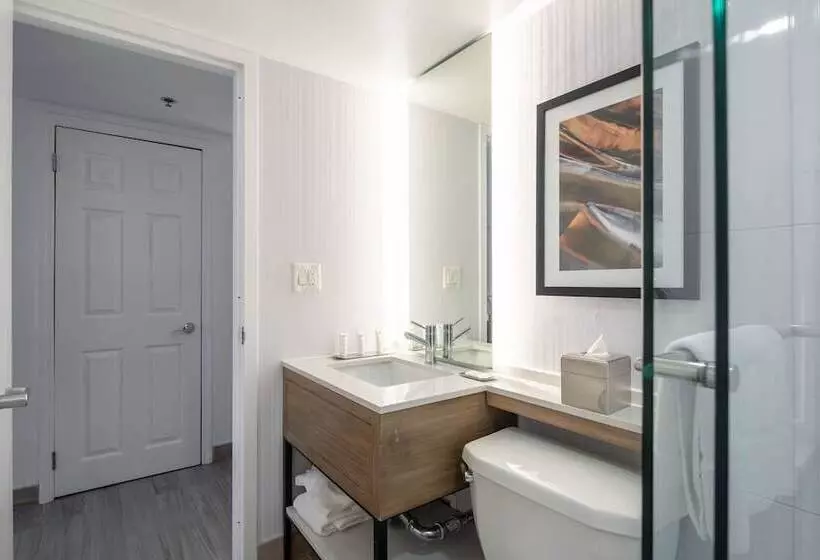 اتاق استاندارد با 2 تخت دوبل, Doubletree By Hilton New York Jfk Airport