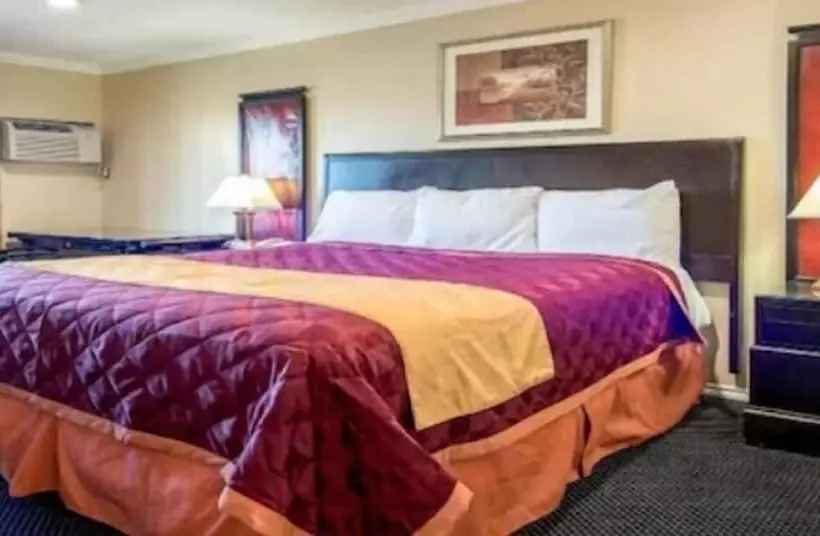ダブルベッドのエコノミールーム, Queencity Inn