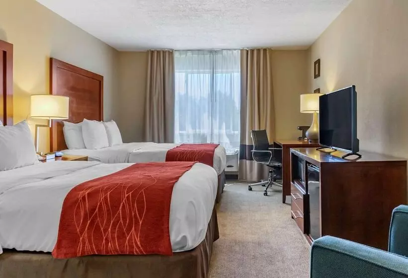 اتاق استاندارد با 2 تخت دوبل, Comfort Inn Albuquerque Airport