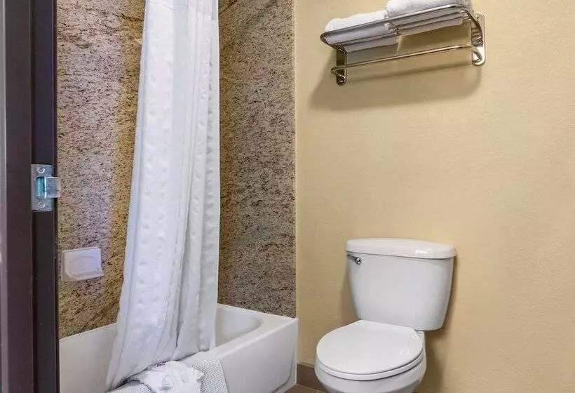 اتاق استاندارد با 2 تخت دوبل, Comfort Inn Albuquerque Airport