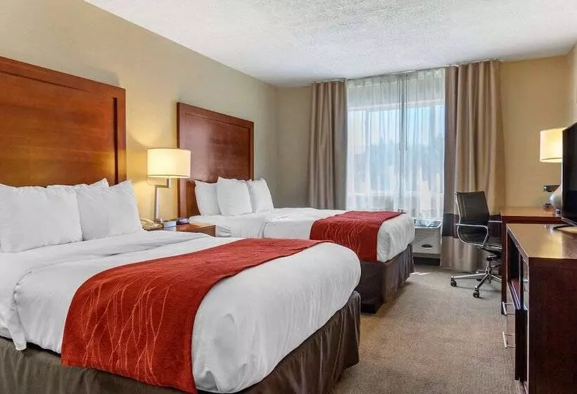 اتاق استاندارد با 2 تخت دوبل, Comfort Inn Albuquerque Airport