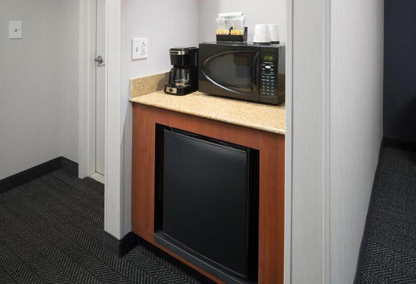 适合残疾人士使用的带超级大床的标准间, Courtyard Shelton