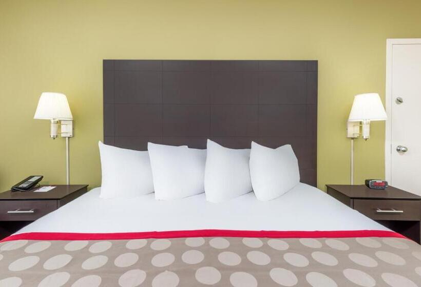 带大床的标准间, Ramada By Wyndham Vandalia