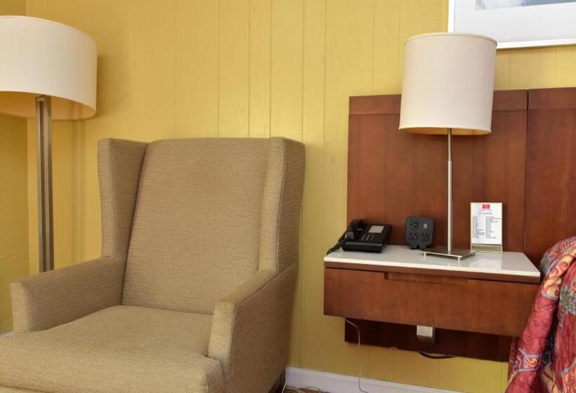 اتاق استاندارد با تخت بزرگ, Red Carpet Inn