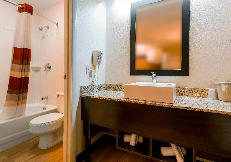 デラックスルーム, Red Roof Inn Plus+ Nashville Airport