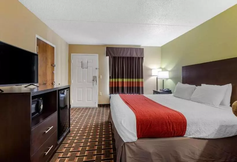身障者適用キングサイズベッドルーム, Surestay Hotel By Best Western Lenoir City