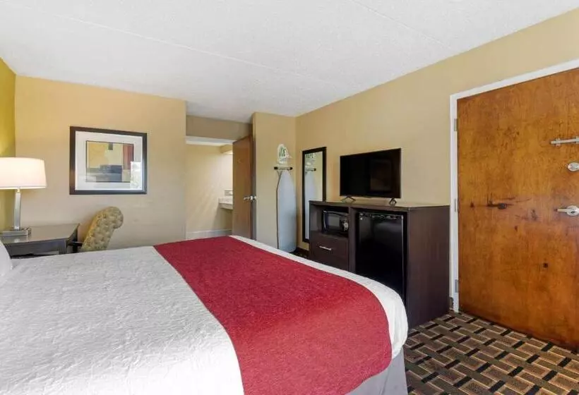 身障者適用キングサイズベッドルーム, Surestay Hotel By Best Western Lenoir City