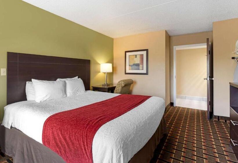 身障者適用キングサイズベッドルーム, Surestay Hotel By Best Western Lenoir City