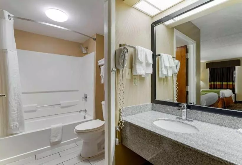 スタンダードルーム, Surestay Hotel By Best Western Lenoir City