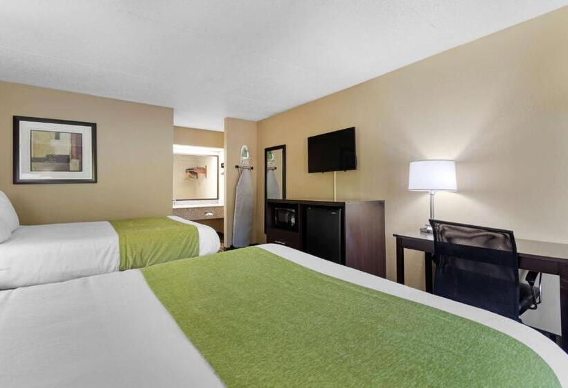 スタンダードルーム, Surestay Hotel By Best Western Lenoir City