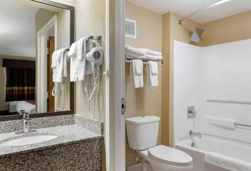 キングサイズベッドのスタンダードルーム, Surestay Hotel By Best Western Lenoir City