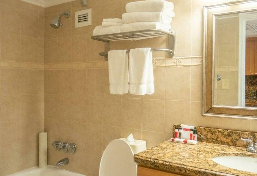 스탠다드 전망 룸, Ramada Plaza By Wyndham Marco Polo Beach Resort