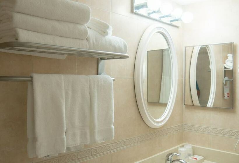 غرفه قياسيه سريرين مزدوجين, Ramada Plaza By Wyndham Marco Polo Beach Resort