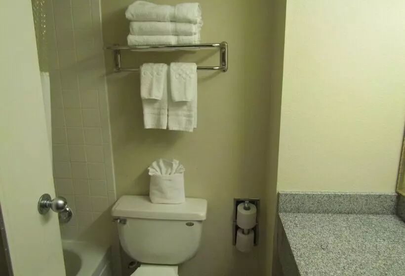 ２ダブルベッドのスタンダードルーム, Romana Hotel   Houston Southwest