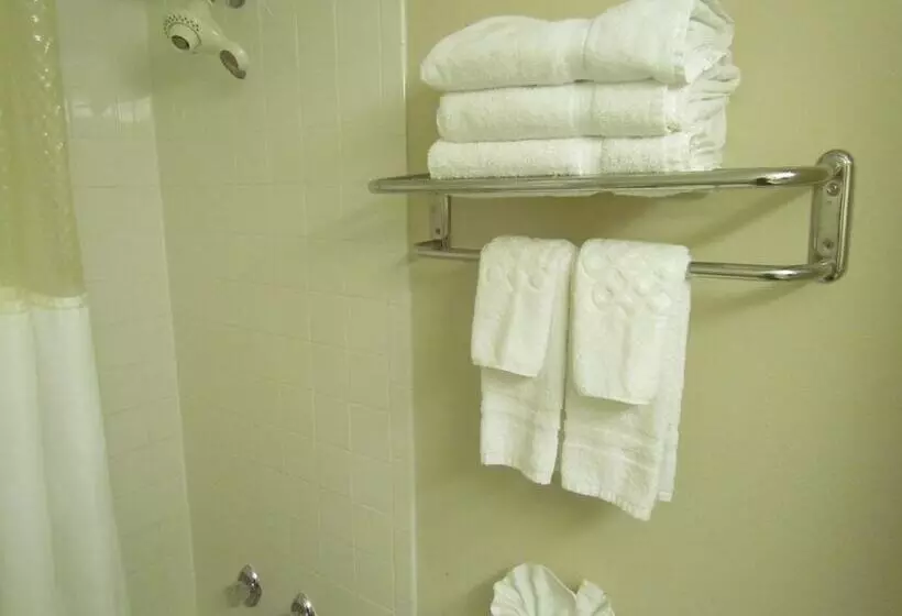 ２ダブルベッドのスタンダードルーム, Romana Hotel   Houston Southwest