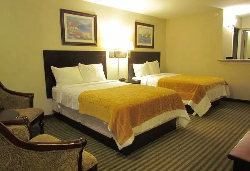２ダブルベッドのスタンダードルーム, Romana Hotel   Houston Southwest
