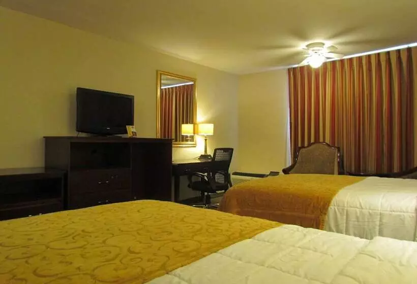 ２ダブルベッドのスタンダードルーム, Romana Hotel   Houston Southwest