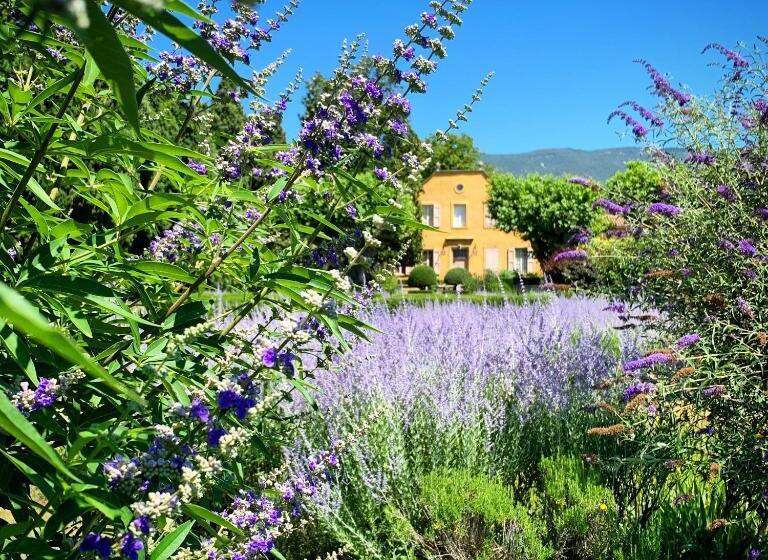 جناح جونيور, Le Pavillon De Galon