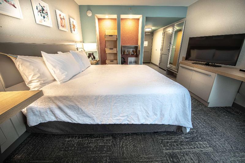 带大床的标准间, Hilton Garden Inn Asheville South