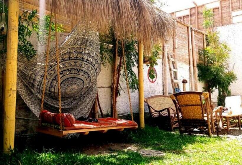 패밀리 룸, Qamaq