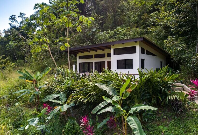 غرفة قياسية, Black Rock Lodge