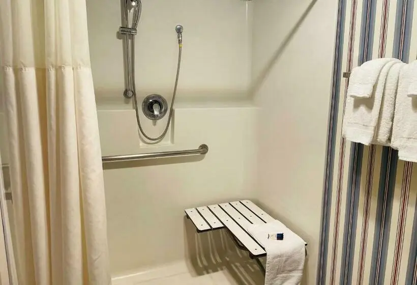 身障者適用スタンダードルーム, America S Best Value Inn Sandpoint
