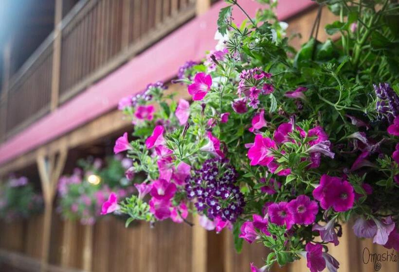 غرفة قياسية سرير كينج, Rio Vista