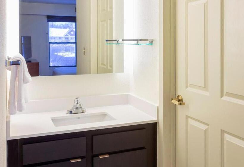 Студия Стандарт, Residence Inn Minneapolis St. Paul/roseville