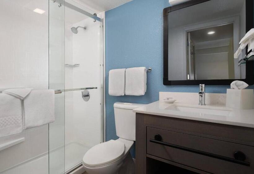 펜트하우스 스위트, Residence Inn Sunnyvale Silicon Valley Ii