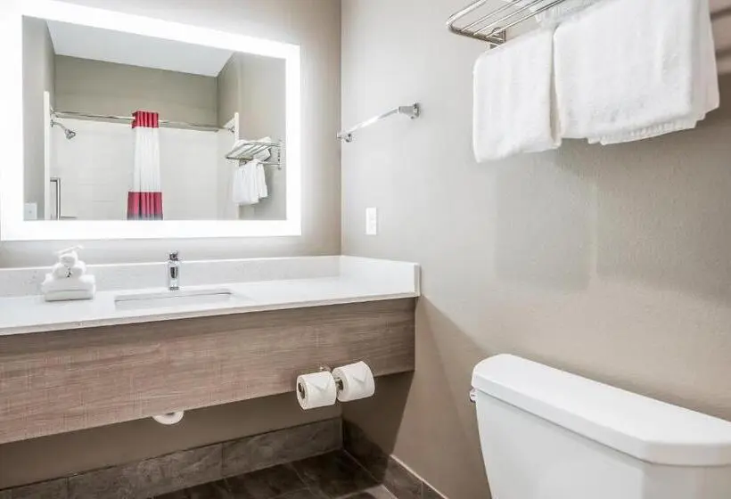 Deluxe-huone, Red Roof Inn Baytown