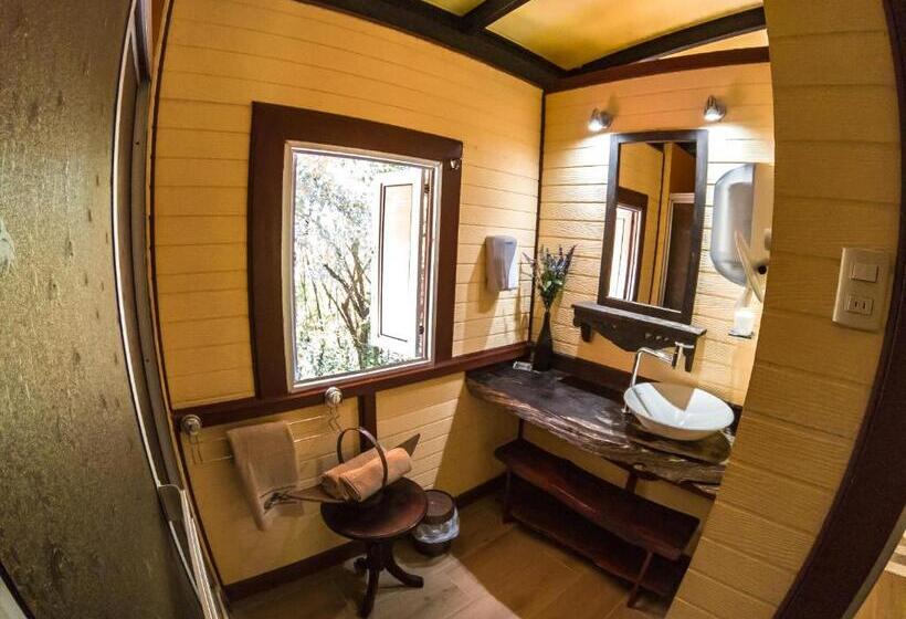 غرفة قياسية ثلاثية, Coyote Rooms