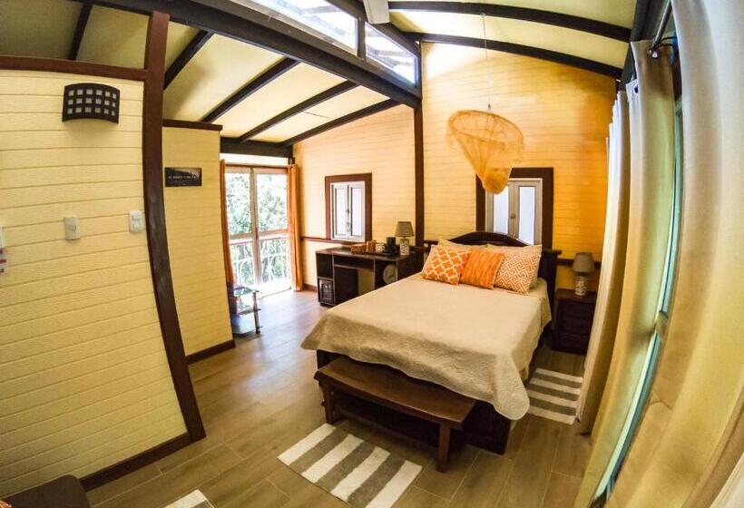 غرفة قياسية ثلاثية, Coyote Rooms