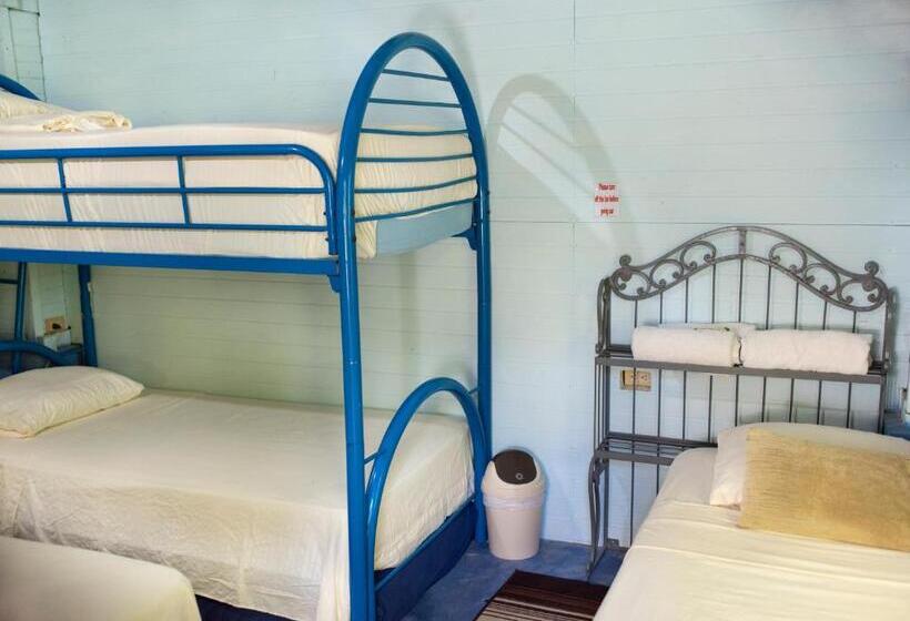 غرفة قياسية ثلاثية حمام مشترك, Coyote Rooms