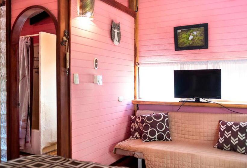 Номер Стандарт Трехместный, Coyote Rooms