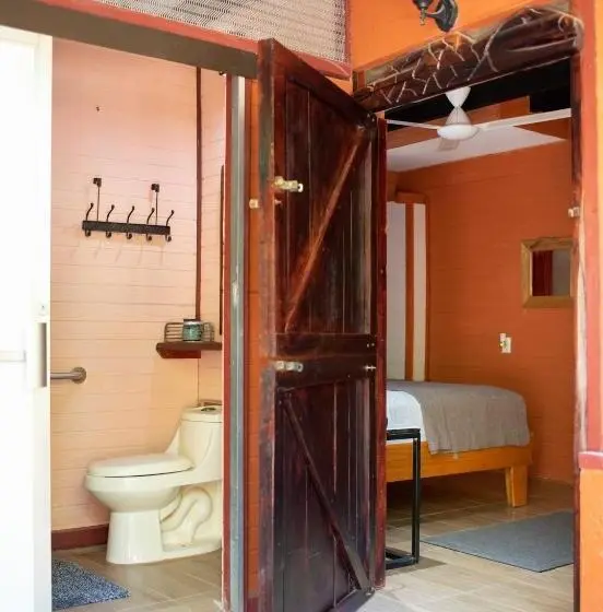エコノミールーム, Coyote Rooms