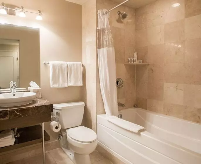اتاق لوکس, Magnolia Hotel Omaha